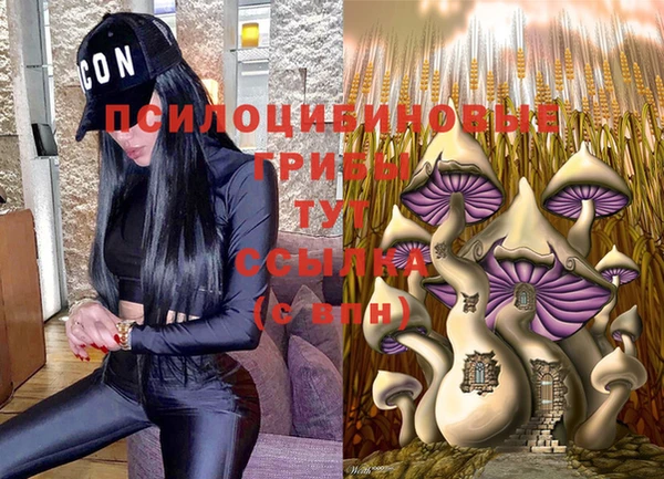 apvp Покров