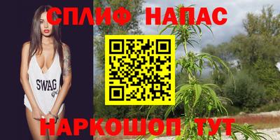 apvp Заволжье